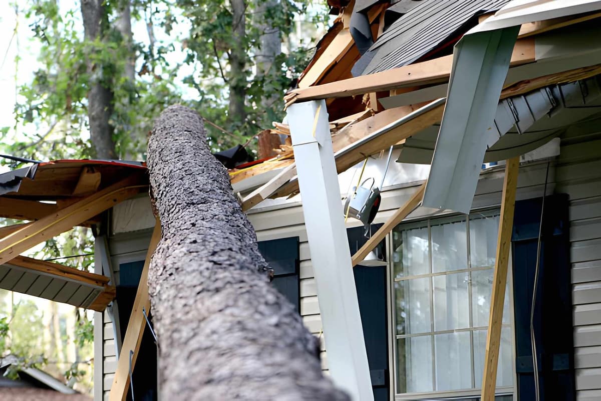 Flood vs Water Damage in Tampa: Why the Difference Affects Your Claim