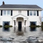 Water Damage | Tampa, Brandon, Plant City, Lakeland